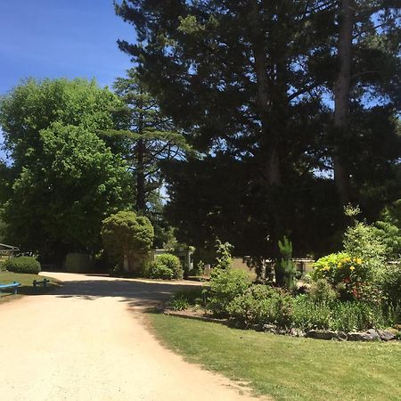 Daylesford Holiday Park Exterior photo